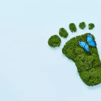 Barefoot_Footprint_Made_Of__Green_Moss_original_1637874