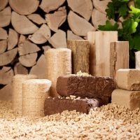 Różne rodzaje pelletu drzewnego, brykietów i polan drewna ułożone na ziemi